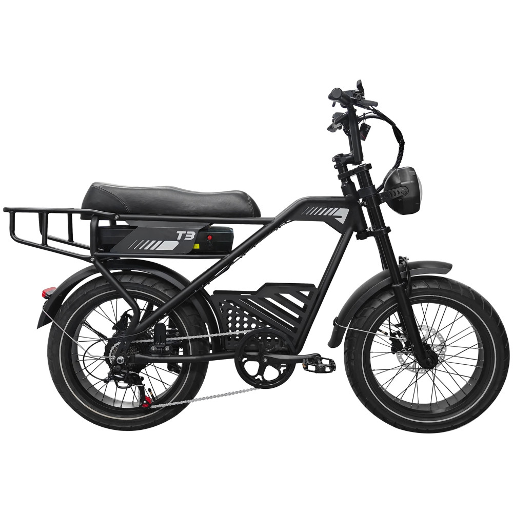 AVDLBIKE T3 elektrinis fat bike 500W | Dviguba amortizacija