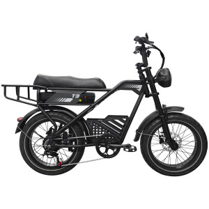 AVDLBIKE T3 elektrinis fat bike 500W | Dviguba amortizacija