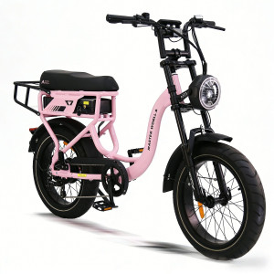 AVDLBIKE T7 elektrinis dviratis 500W | Retro miesto e-bike