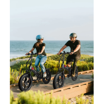 VICTRIP T5 750W 20Ah sulankstomas elektrinis dviratis