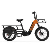 LANKELEISI Wombat-1 Krovininis Elektrinis Dviratis 1000W | e-skuteris.lt