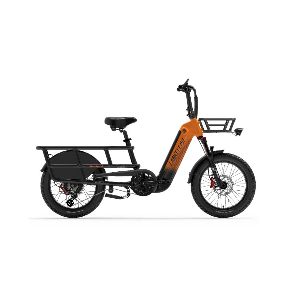 LANKELEISI Wombat-1 Krovininis Elektrinis Dviratis 1000W | e-skuteris.lt