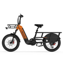 LANKELEISI Wombat-1 Krovininis Elektrinis Dviratis 1000W | e-skuteris.lt