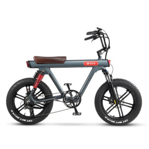 DYU V8 750W 15.5Ah elektrinis dviratis