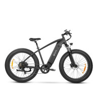 DYU King 750 750W 20Ah elektrinis dviratis