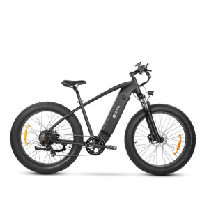 DYU King 750 750W 20Ah elektrinis dviratis