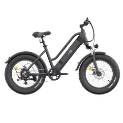 BEZIOR XF103 500W 10Ah elektrinis dviratis