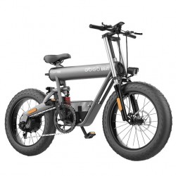 GOGOBEST GF500 750W 20Ah elektrinis dviratis