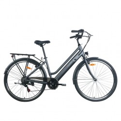 GOGOBEST GM28 350W 10.4Ah elektrinis dviratis