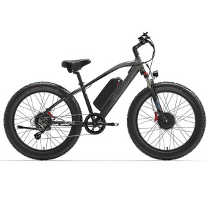 LANKELEISI MG740 PLUS 1000W*2 20Ah elektrinis dviratis