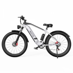 DUOTTS F26 750W*2 17.5Ah elektrinis dviratis