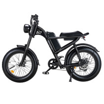 Ridingtimes Z8 500W 15Ah elektrinis dviratis