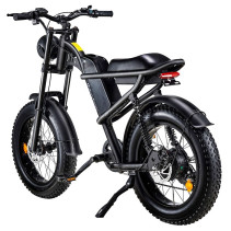 Ridingtimes Z8 500W 15Ah elektrinis dviratis