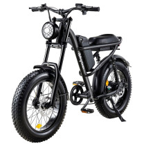Ridingtimes Z8 500W 15Ah elektrinis dviratis