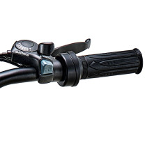 Ridingtimes Z8 500W 15Ah elektrinis dviratis