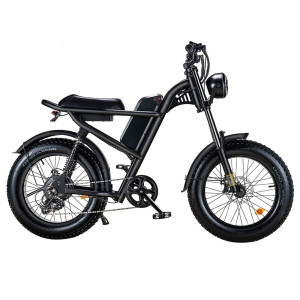 Ridingtimes Z8 500W 15Ah elektrinis dviratis