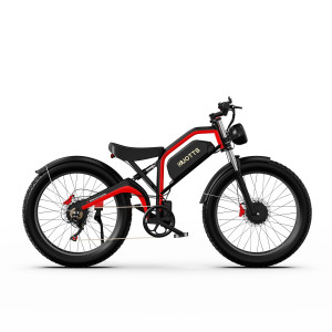 DUOTTS N26 750W*2 20Ah elektrinis dviratis