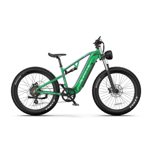 DUOTTS E26 750W 20Ah elektrinis dviratis