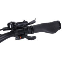 Eleglide C1 250W 14.5Ah elektrinis dviratis