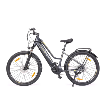 Eleglide C1 ST 250W 14.5Ah elektrinis dviratis