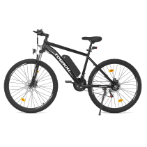 Touroll U1 26 250W 13Ah elektrinis dviratis