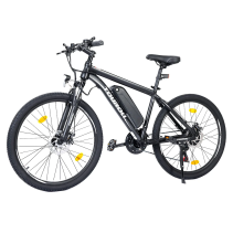 Touroll U1 29 250W 13Ah elektrinis dviratis
