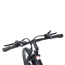 Touroll U1 29 250W 13Ah elektrinis dviratis