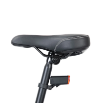 Touroll U1 29 250W 13Ah elektrinis dviratis