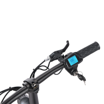 HONEYWHALE M5 Pro-S 500W 13Ah elektrinis paspirtukas
