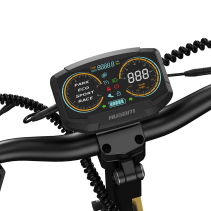 Ausom L2 800W 15.6Ah elektrinis paspirtukas