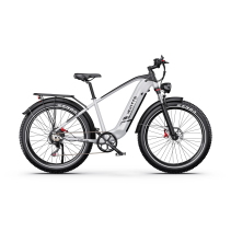 DUOTTS F26 LITE 500W 18Ah elektrinis dviratis