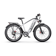 DUOTTS F26 LITE 500W 18Ah elektrinis dviratis