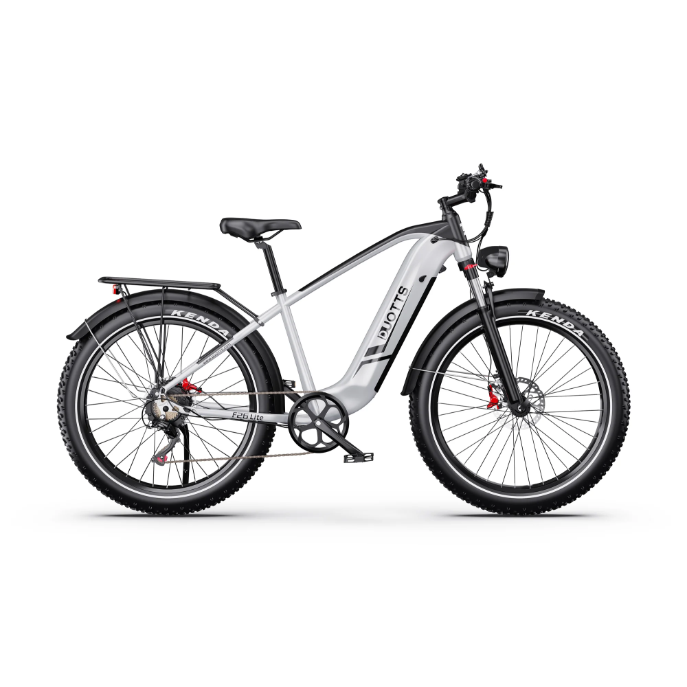 DUOTTS F26 LITE 500W 18Ah elektrinis dviratis