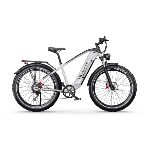 DUOTTS F26 LITE 500W 18Ah elektrinis dviratis