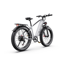 DUOTTS F26 LITE 500W 18Ah elektrinis dviratis