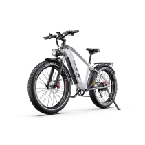 DUOTTS F26 LITE 500W 18Ah elektrinis dviratis