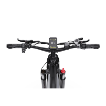 DUOTTS F26 LITE 500W 18Ah elektrinis dviratis