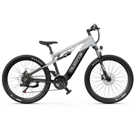 DUOTTS E29 250W 13.5Ah elektrinis kalnų dviratis