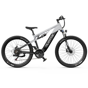 DUOTTS E29 250W 13.5Ah elektrinis kalnų dviratis