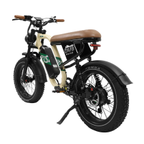 OneSport W66 500W 13.5Ah elektrinis dviratis