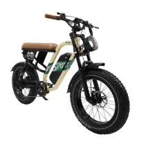 OneSport W66 500W 13.5Ah elektrinis dviratis