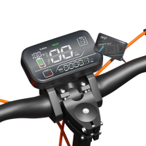 JOYOR S8E 800W 26Ah elektrinis paspirtukas