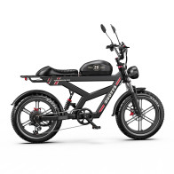 DUOTTS F20 750W 27Ah elektrinis dviratis