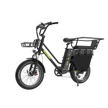 KOOLUX X8 750W 65Ah krovininis elektrinis dviratis
