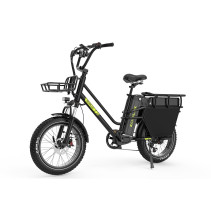 KOOLUX X8 750W 65Ah krovininis elektrinis dviratis