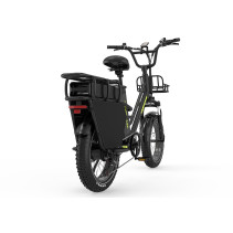 KOOLUX X8 750W 65Ah krovininis elektrinis dviratis