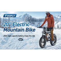 TOOFLY S18 1000W 25Ah galingas elektrinis dviratis