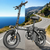 TOOFLY GS3 400W 15Ah sulankstomas elektrinis dviratis