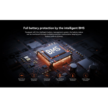 KingSong E1 KSE 350W 7.8Ah elektrinis paspirtukas