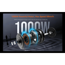 KingSong N12 Pro E 1000W 14.5Ah elektrinis paspirtukas
